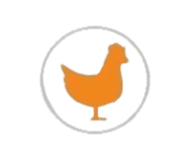 Logo Chicken